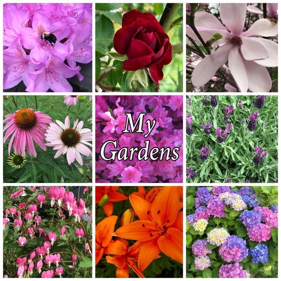 Meet your Posher, Barbara - Picture 14 of 16